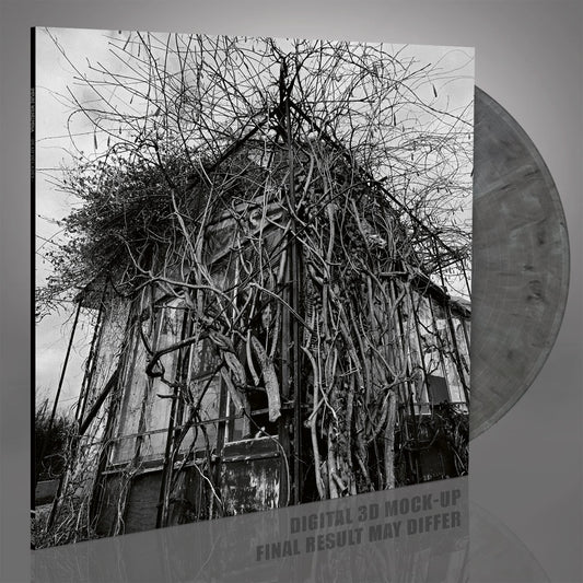 Impure Wilhelmina - Dead Decades [Vinyl]
