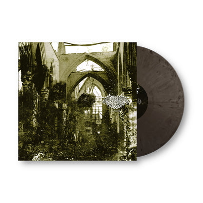 Der Weg Einer Freiheit - Agonie [CD / Vinyl]