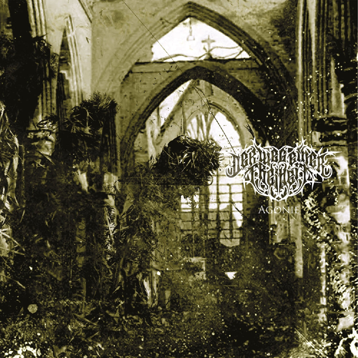 Der Weg Einer Freiheit - Agonie [CD / Vinyl]
